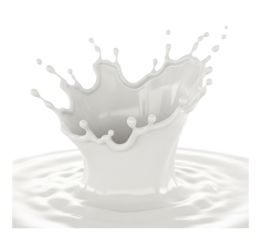 Milk Splash Free PNG Download